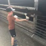 Happy Days: 5 great animal attractions in Southern England. Images of young girl stroking a bunny and a young boy hand feeding a goat