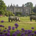 Happy Days: 5 Great animal attractions to visit in Southern England. Image of 3 rhinos walking on grass in front of stately home. Cotswold Wildlife Park