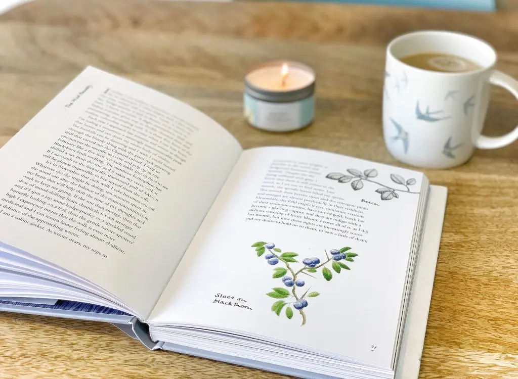 Taking some time out to catch-up with this month's latest book from WILDWOMAN self care subscription box