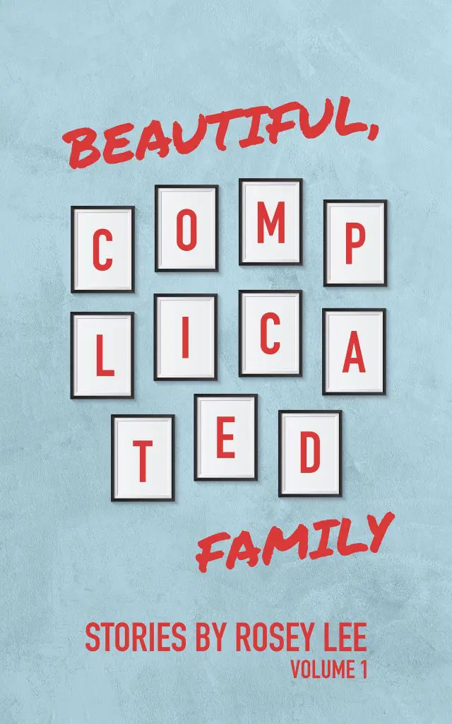 Beautiful Complicated Family Book Jacket Vol 1