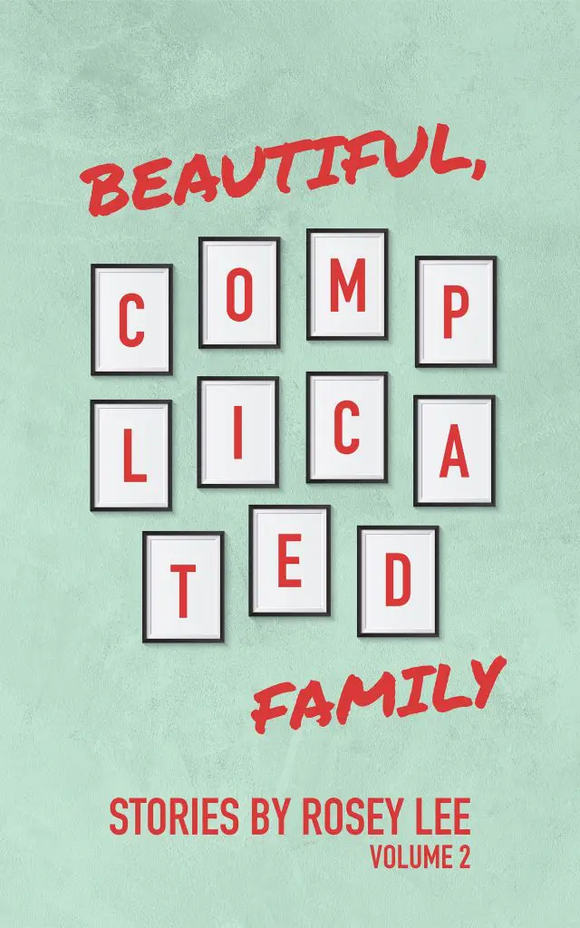 Beautiful Complicated Family Book Jacket Vol 2