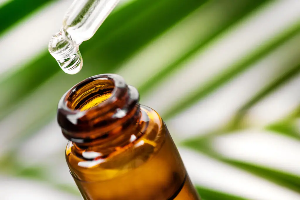 essential oils for beginners