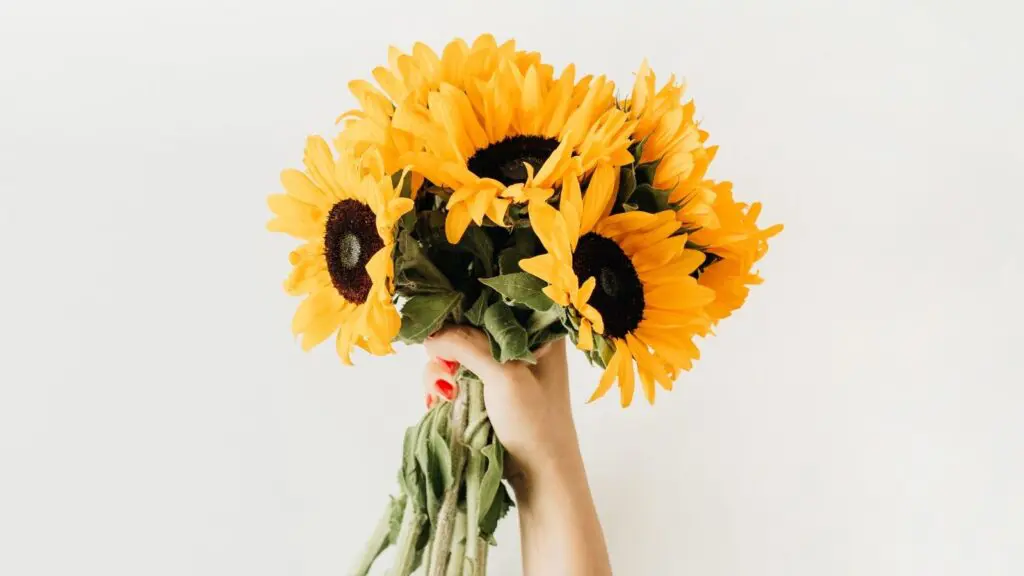 Flowers: A Beautiful Way to Tackle Loneliness & Boost Well-Being