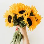 Flowers: A Beautiful Way to Tackle Loneliness & Boost Well-Being