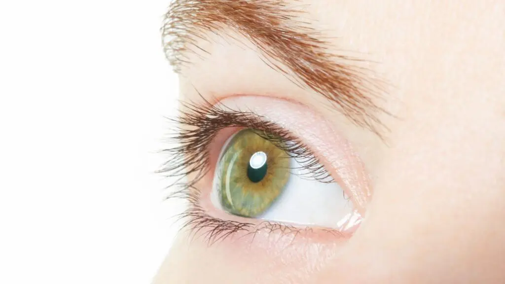 A 5-Step Healthy Eye Care Routine to Help Relieve Dry Eyes