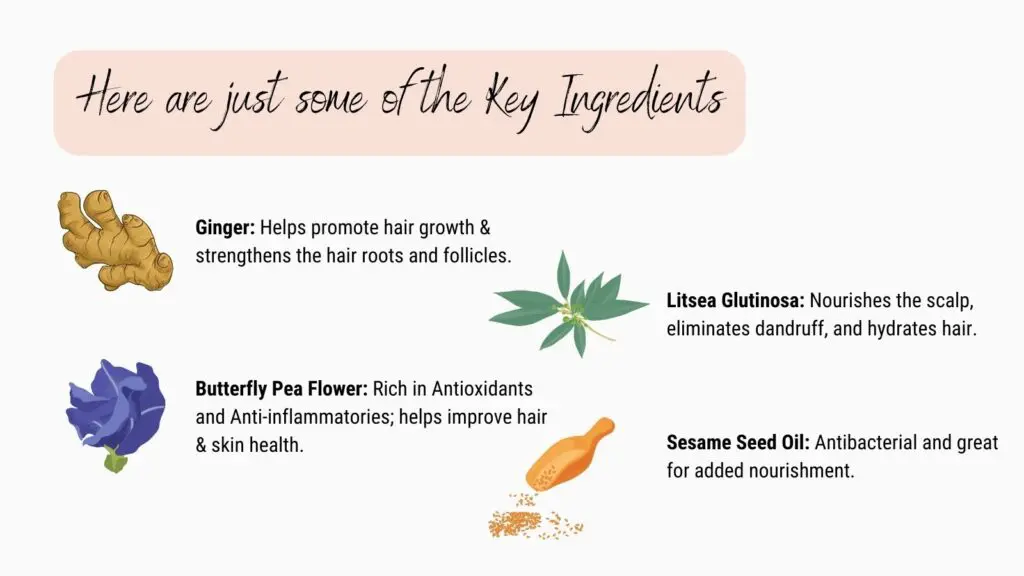 Key Ingredients Infographic