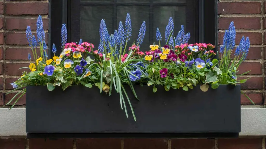 Window boxes are a great alternative for your well being garden if you don't have a garden