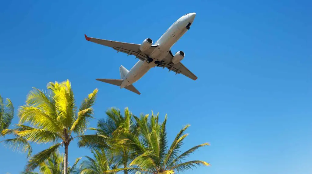 Plane Taking off over palm trees