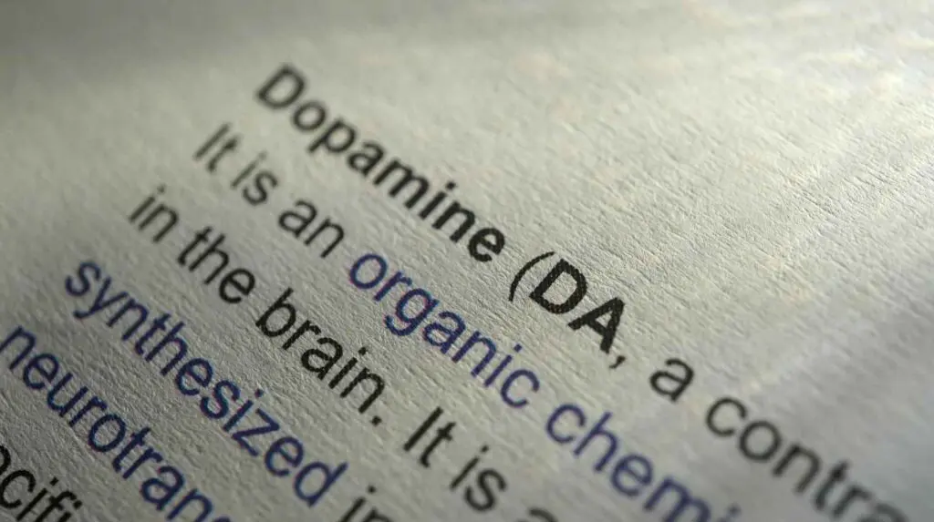 What is Dopamine