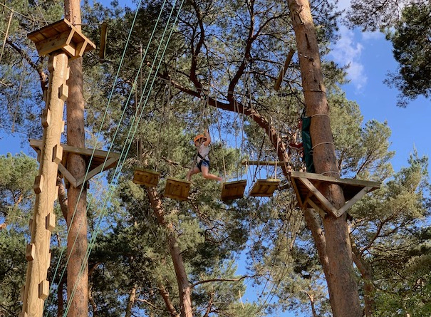 Tree-top bridges to navigate across made me face my fear