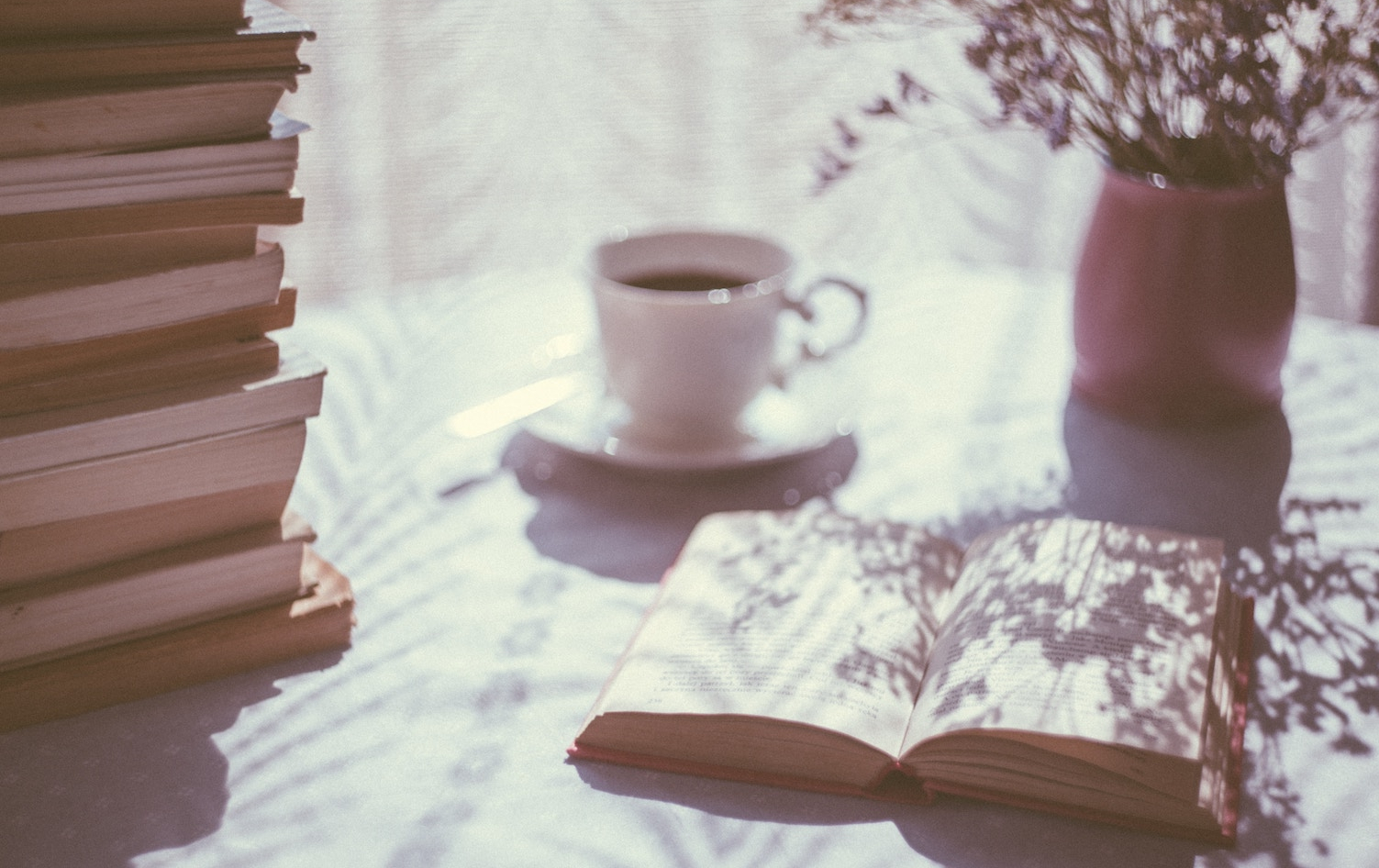 Stories have the ability to transport us out of the everyday